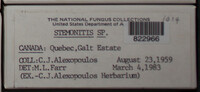 Image Associated With the Occurence
